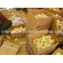 Шаньдун Происхождение Свежий картофель Новый сезон
